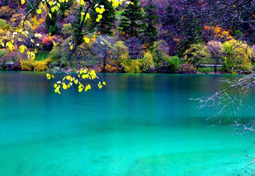 �Ї��Ҽ��f(xi��)��(hu�� )���Ĵ������{��