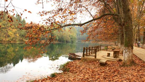 ɼɼ�Ҽ����@��(g��)�������c�ゃ��һ��