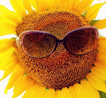 ������ι����ģ����c(di��n)�����܌W(xu��)�ǻ�