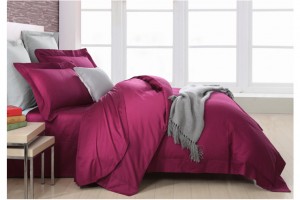 �Ҽ�ץס���^����׌��͎���