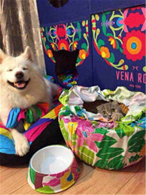 ���Ӷ�����Ψ�_�Ҽ����ص��̘I(y��)ģʽ