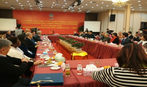 APEC��(hu�� )����20���������⽻���R�L(f��ng)�_���z�I