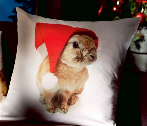 ���r(sh��)�мҼ�Ʒ��ʥ�Q��Ԫ�ؿ��|�������C����