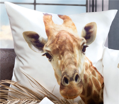 ���r(sh��)�мҼ�Ʒ��ʥ�Q��Ԫ�ؿ��|�������C����