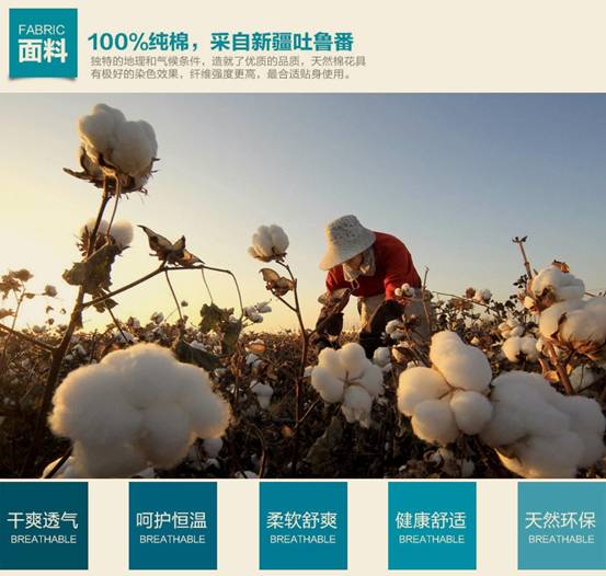 �����ԼҼ�������ʧȥ�ľ���҈@