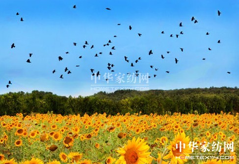 ����һ��ȥ���_��˹���s����