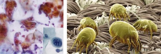 ���_�m�Ҽ�������˯��������˯��������