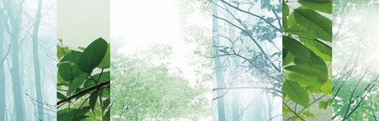 ����˯����ه(l��i)��Violet���C�Ҽ�