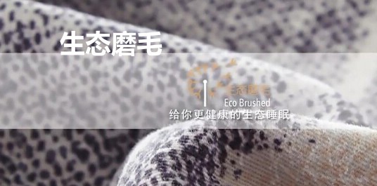 ���_�m���B(t��i)ĥë��Ʒ��׌˯�߻ؚw�������|(zh��)