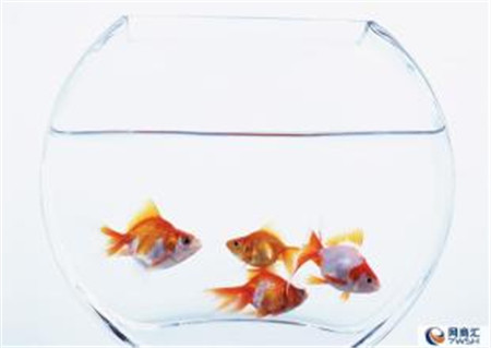 �û�����Ҿ���Ʒ�������^(gu��)��(g��)����ˬ��÷�꼾