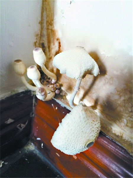 �û�����Ҿ���Ʒ�������^(gu��)��(g��)����ˬ��÷�꼾