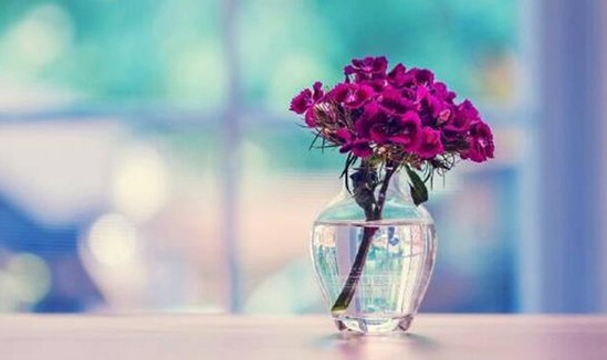 ���_�m�Ҽ���������������z��˲�g�������Ử�ڻ�