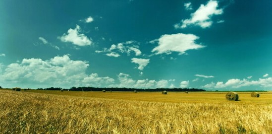 ���_�m�Ҽ���ɭ��������˯�ߡ����C���Сɭ��