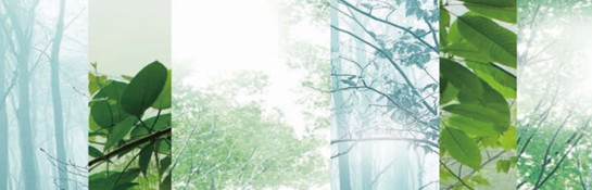 ���_�m���C�Ҽ����ڰ��Rԭ���B(t��i)ɽ�Ⱥ�ˮ�g-��һ��(ch��ng)�p��(m��ng)