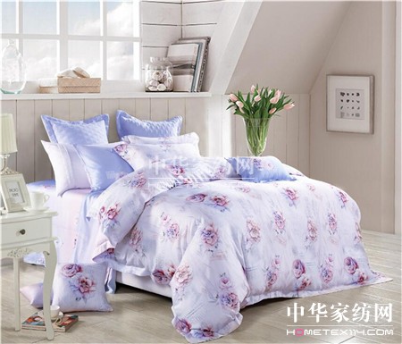 �ûʼҼ�2017������Ʒ�l(f��)����(hu�� )��(y��u)�ų��b