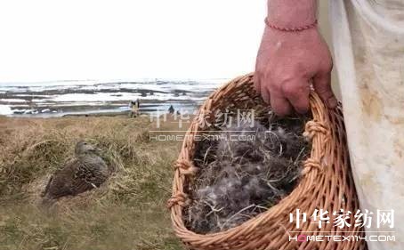 ������27�f(w��n)�I(m��i)�²���Ҽ�"����"��"����"��