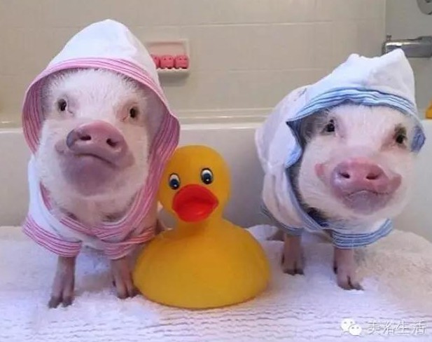 ��ԡ���һ�l��ԡ�����͎��o�㲻�Զ������Ҹ���