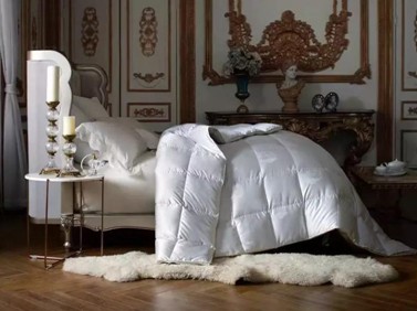 19�f(w��n)8���I(m��i)����Ҽ������������ފy��ĺ����Ԇ���