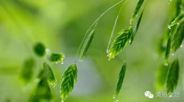 ��ԡ���Փһ�lë�����������B��