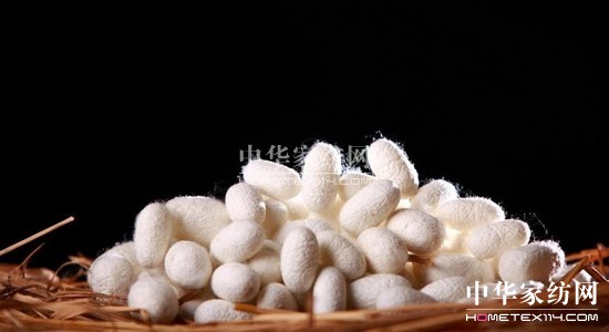 ���z�R�����_(k��i)�����B(t��i)���ܼҾ�4.0�r(sh��)��