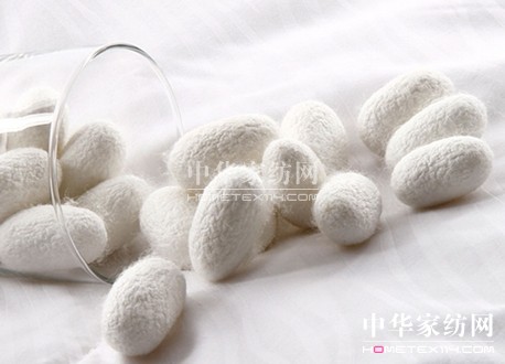 �Q�z���ס������z�Ƽ����B(t��i)�����I(l��ng)�����c����