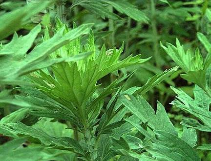 ���ľӼ�����ٛ���x�Ҽ����������B����