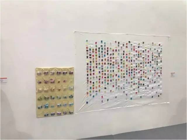 ����ҒҒ�c(di��n)�c(di��n)�εΡ���2017�Ї����H�w�Sˇ�g(sh��)չ�ġ�ۙ�E�����ˌ�ζ