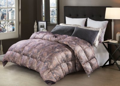 ˮ�ǼҼ����������Z�q��--��(l��i)�ԘO���؅^�ı�ů����