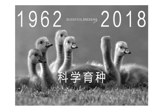 ����Ҽ����m�����q���¾��p��������