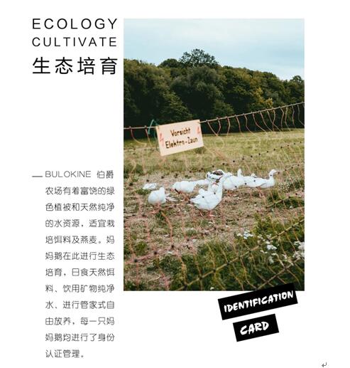 ����Ҽ����m�����q���¾��p��������