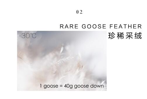 ����Ҽ����m�����q���¾��p��������