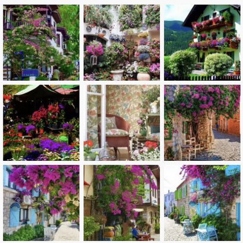 С�[�T(m��n)��������D����Ȧ�����c(di��n)Ҫ�󲻿�����������ƽ