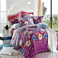 ����ӳ��(hu��)