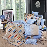 �в�-����֮��(m��ng)