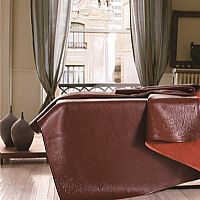 ����һ��ţƤϯ ����