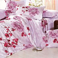 ��ܰ���Z(y��)