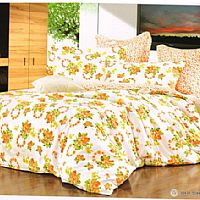 С�~���㣨С����