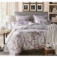 �Oˬ�z��  ��ؐ��