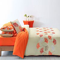 ��ɫף���׼�