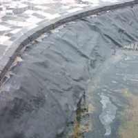 ����Ĥ,�ͺ�Ĥ