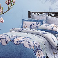 ���Z(y��)�໨