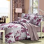 ������Ʒ��(��i)�w�P