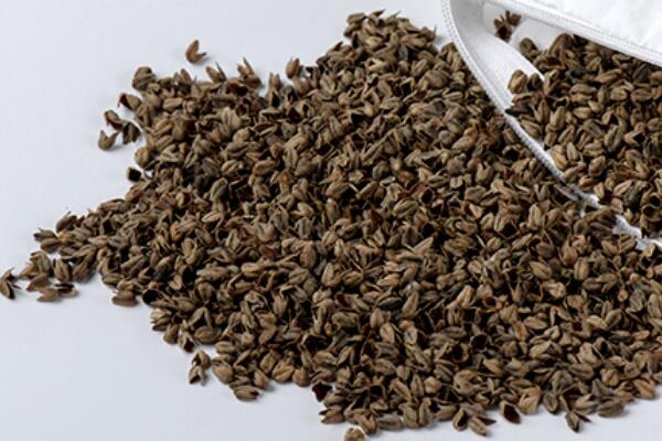 ����(zh��)����Ȼ���������ѻ��Ҽ��ĸ�ɽ���w������s�ߴ����﷦����