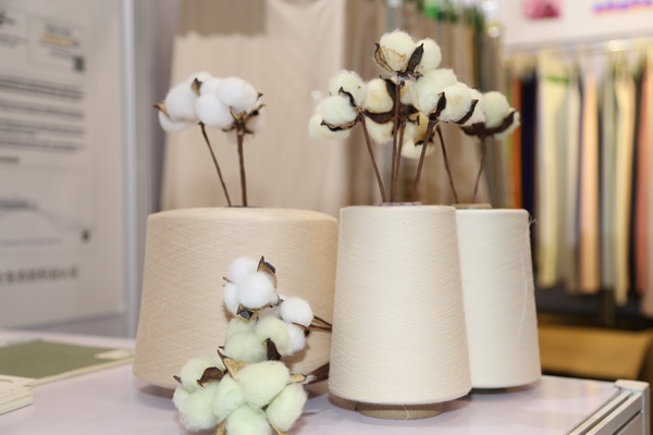 ��չ���ȇ��H�Ј�(ch��ng)�������ИI(y��)�a(ch��n)�I(y��)����������2022�Ї��B�d�򴺼�������(hu�� )��Ļ